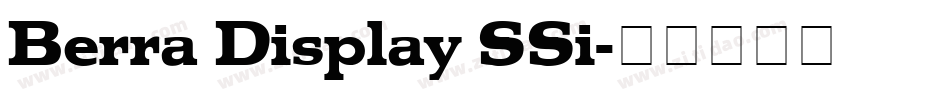 Berra Display SSi字体转换